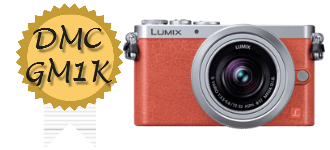 LUMIX DMC-GM1k 高価買取中